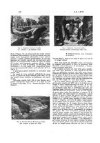 giornale/VEA0008841/1941-1942/unico/00000224