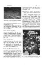 giornale/VEA0008841/1941-1942/unico/00000359