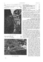 giornale/VEA0008897/1928/unico/00000068