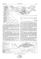 giornale/VEA0008897/1928/unico/00000273