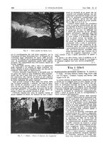 giornale/VEA0008897/1934/unico/00001060