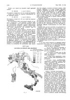 giornale/VEA0008897/1934/unico/00001400