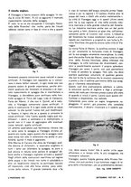 giornale/VEA0008897/1936/unico/00000494