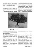 giornale/VEA0008897/1936/unico/00000578