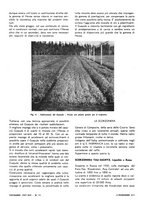 giornale/VEA0008897/1936/unico/00000581