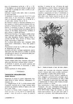 giornale/VEA0008897/1936/unico/00000582