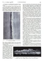giornale/VEA0008897/1939/unico/00000349