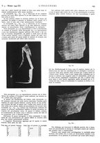 giornale/VEA0008897/1942/unico/00000263