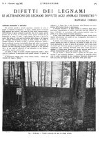 giornale/VEA0008897/1942/unico/00000611