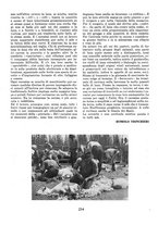 giornale/VEA0009388/1943/unico/00000408