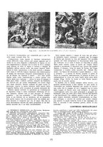 giornale/VEA0009388/1945/unico/00000021