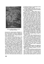 giornale/VEA0010895/1924/unico/00000304