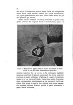 giornale/VEA0013591/1939/unico/00000036