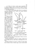 giornale/VEA0013591/1939/unico/00000203