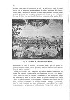 giornale/VEA0013591/1941/unico/00000176