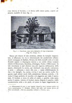 giornale/VEA0013591/1944/unico/00000051