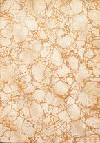 giornale/VEA0014796/1921/unico/00000003