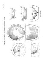 giornale/VEA0016840/1876-1877/unico/00000137