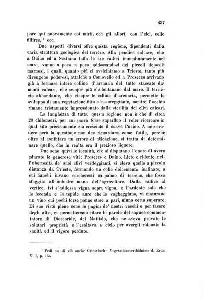 L'Archeografo triestino raccolta di opuscoli e notizie per Trieste e per l'Istria