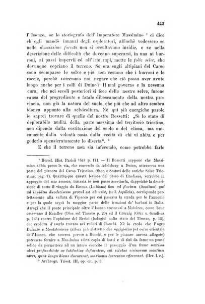 L'Archeografo triestino raccolta di opuscoli e notizie per Trieste e per l'Istria