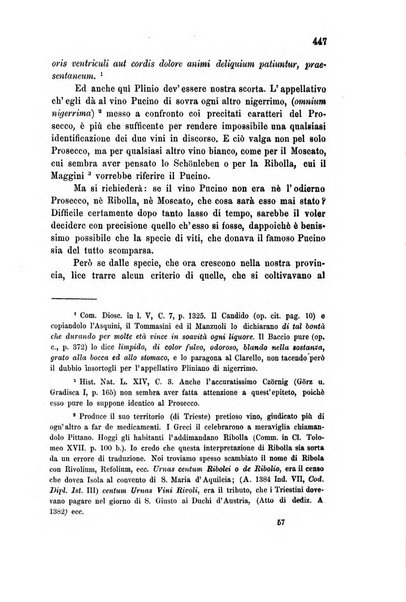 L'Archeografo triestino raccolta di opuscoli e notizie per Trieste e per l'Istria