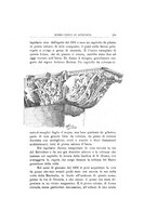 giornale/VEA0016840/1905/Ser.3-V.1/00000299