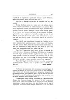 giornale/VEA0016840/1906-1907/unico/00000221