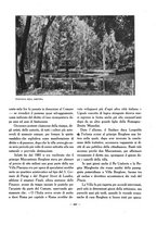 giornale/VEA0024582/1925/unico/00000725