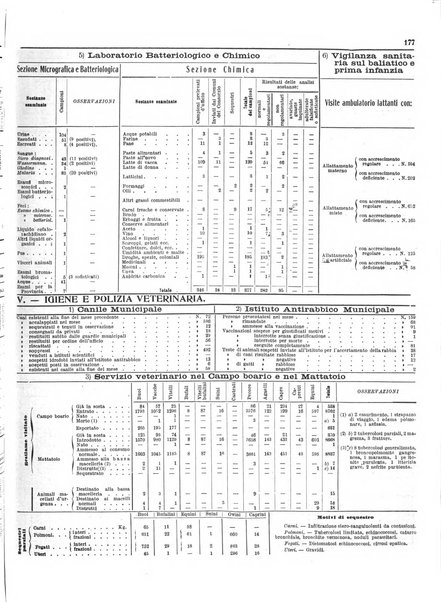 Capitolium rassegna di attività municipale