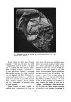 giornale/VEA0024582/1926/unico/00000511