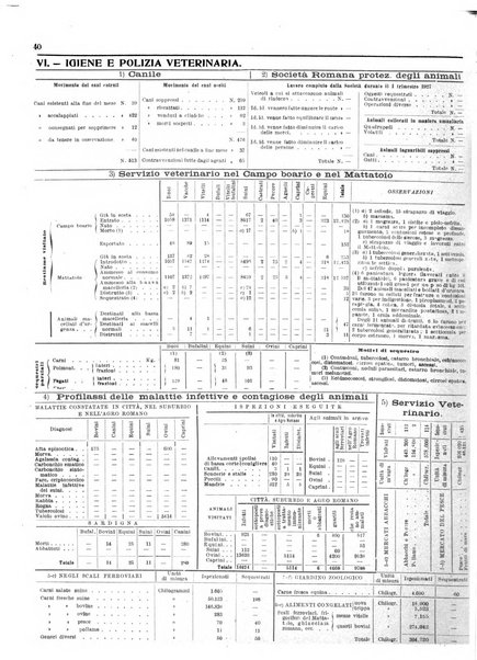 Capitolium rassegna di attività municipale