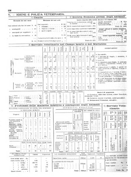 Capitolium rassegna di attività municipale