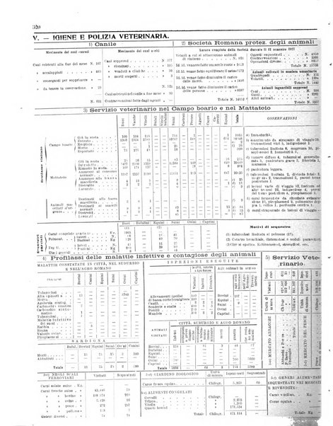 Capitolium rassegna di attività municipale