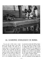 giornale/VEA0024582/1928/unico/00000051