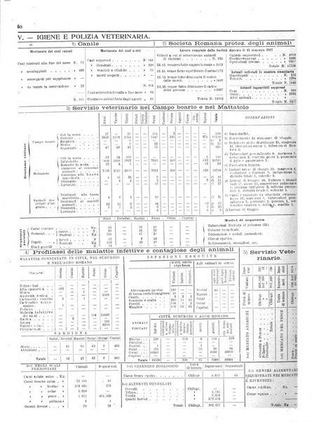 Capitolium rassegna di attività municipale