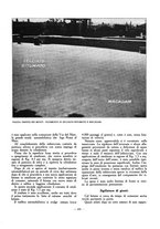 giornale/VEA0024582/1929/unico/00000111
