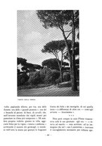 giornale/VEA0024582/1933/unico/00000317