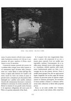 giornale/VEA0024582/1934/v.1/00000143