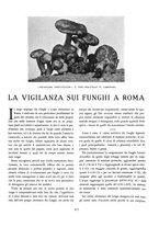 giornale/VEA0024582/1935/unico/00000551