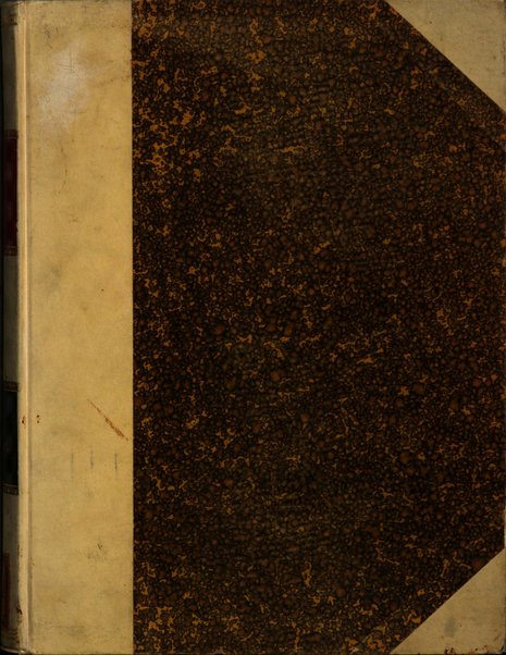 Palaeontographia Italica raccolta di monografie paleontologiche fondata da Mario Canavari nell'anno 1895