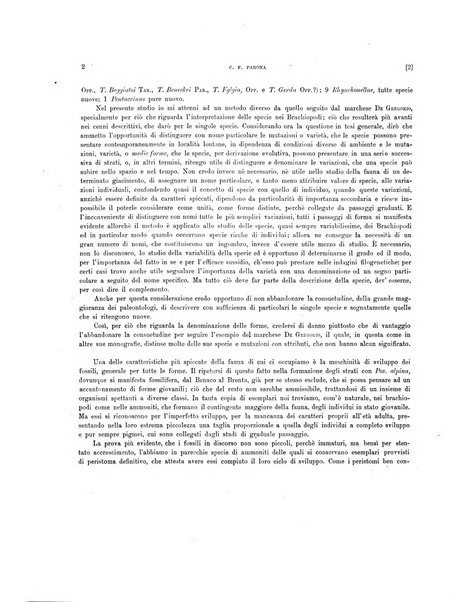 Palaeontographia Italica raccolta di monografie paleontologiche fondata da Mario Canavari nell'anno 1895