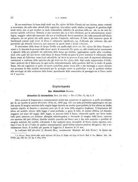 Palaeontographia Italica raccolta di monografie paleontologiche fondata da Mario Canavari nell'anno 1895