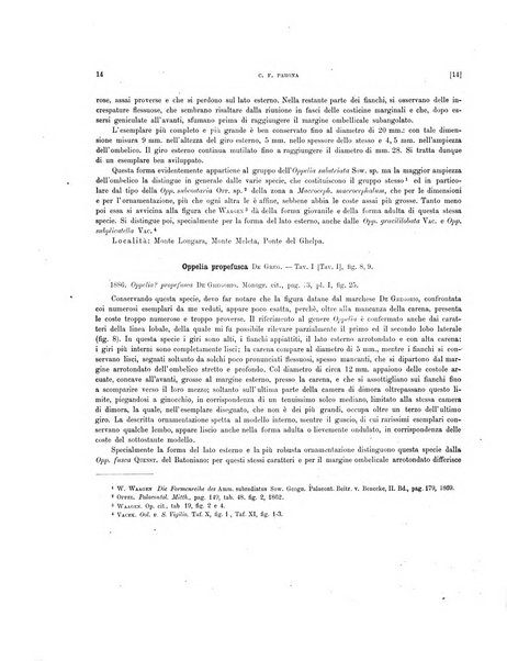 Palaeontographia Italica raccolta di monografie paleontologiche fondata da Mario Canavari nell'anno 1895