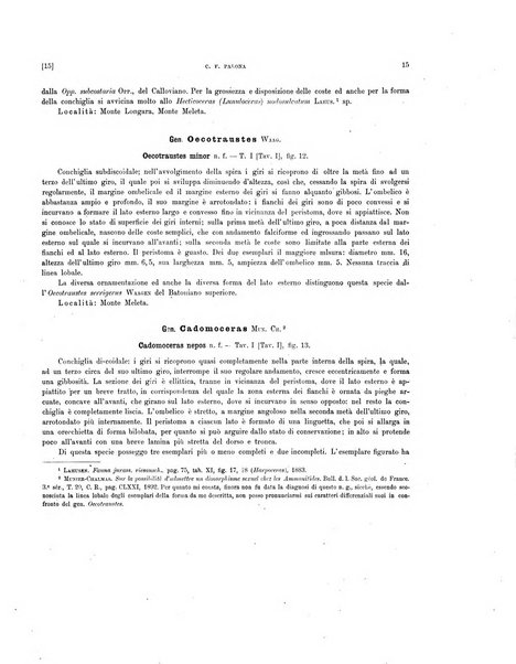 Palaeontographia Italica raccolta di monografie paleontologiche fondata da Mario Canavari nell'anno 1895