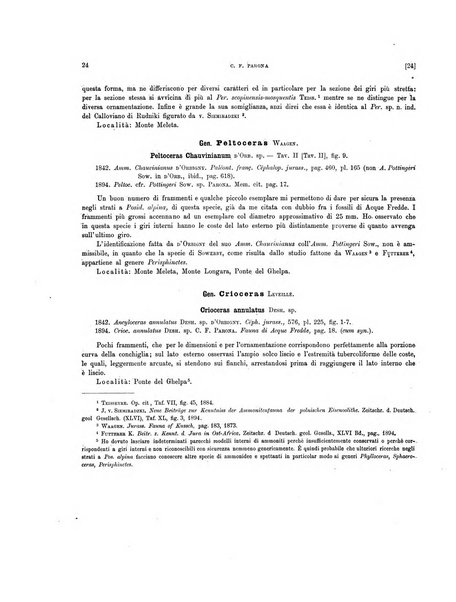 Palaeontographia Italica raccolta di monografie paleontologiche fondata da Mario Canavari nell'anno 1895