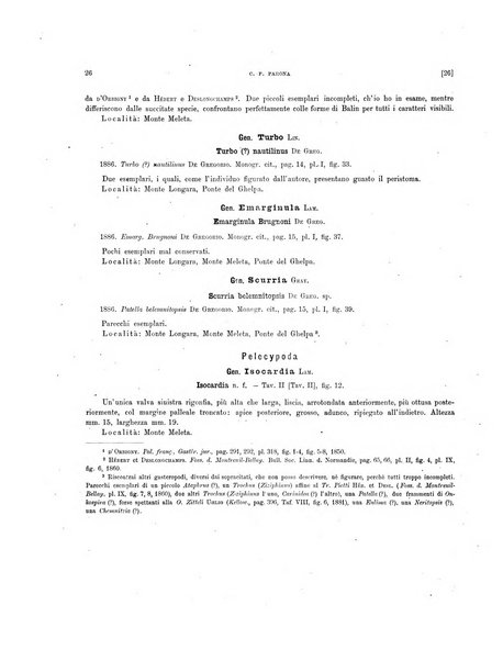 Palaeontographia Italica raccolta di monografie paleontologiche fondata da Mario Canavari nell'anno 1895