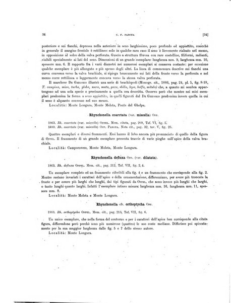 Palaeontographia Italica raccolta di monografie paleontologiche fondata da Mario Canavari nell'anno 1895