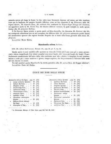 Palaeontographia Italica raccolta di monografie paleontologiche fondata da Mario Canavari nell'anno 1895