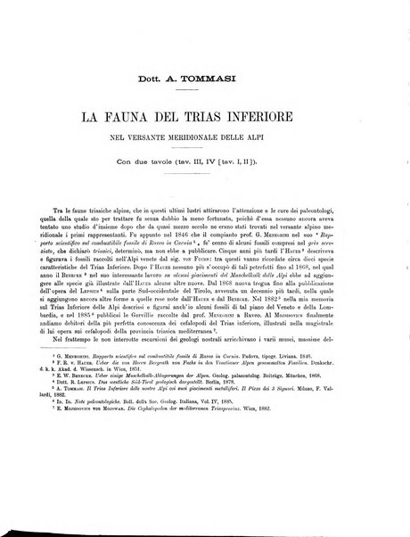 Palaeontographia Italica raccolta di monografie paleontologiche fondata da Mario Canavari nell'anno 1895