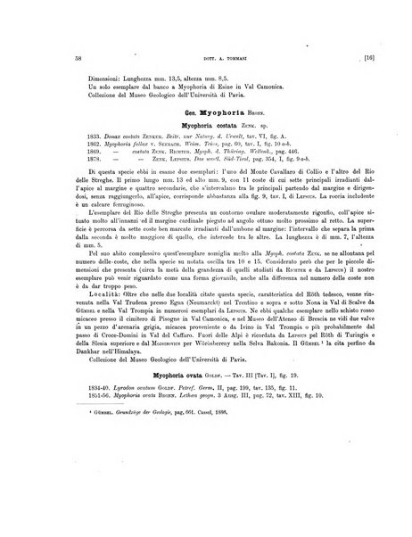 Palaeontographia Italica raccolta di monografie paleontologiche fondata da Mario Canavari nell'anno 1895